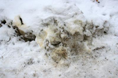 La Chaux-de-Fonds: neige sale janvier 09