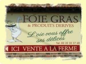 foie-gras