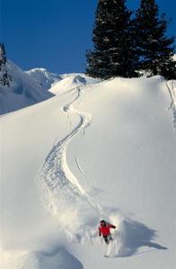 Hiver : saison du ski !