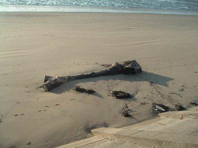 poésie: c'est monde