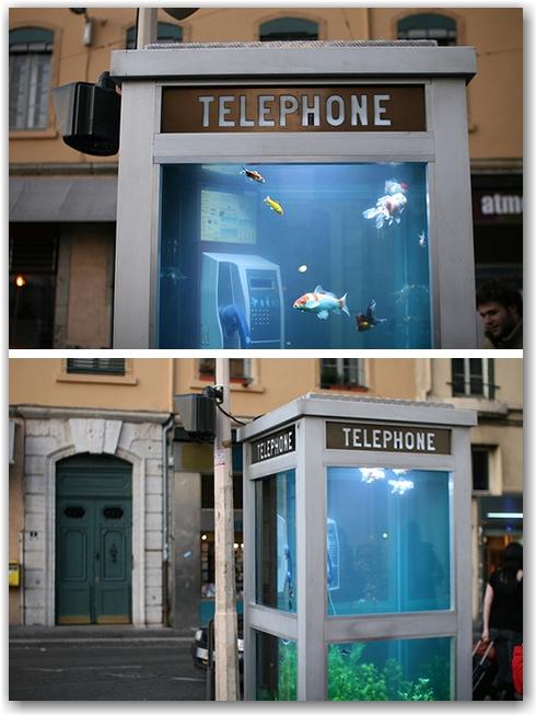 phone-booth-aquarium