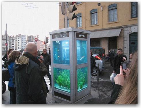 phone-booth-aquarium1