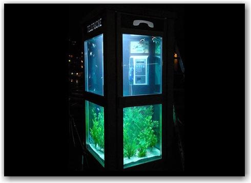 phone-booth-aquarium2