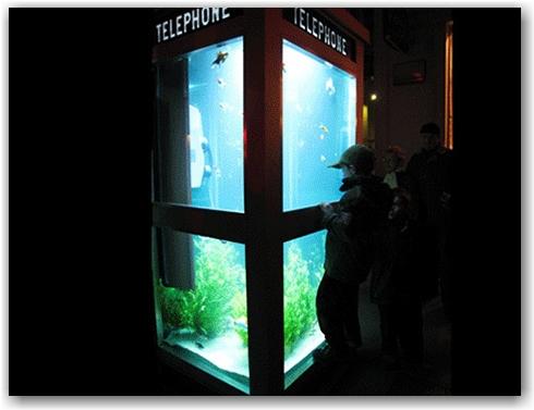 phone-booth-aquarium3