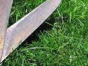 voiture vieille retrouvée milieu d'un jardin friche