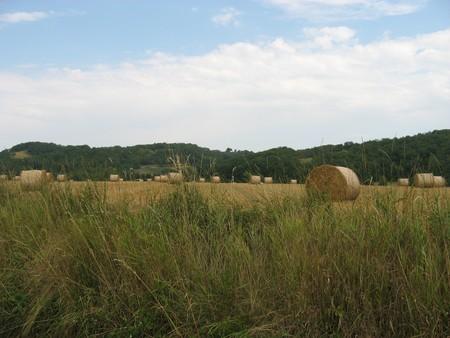 Ballot_de_paille_6
