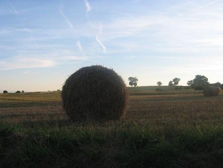 Ballot_de_paille_17