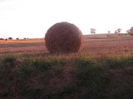Ballot_de_paille_18