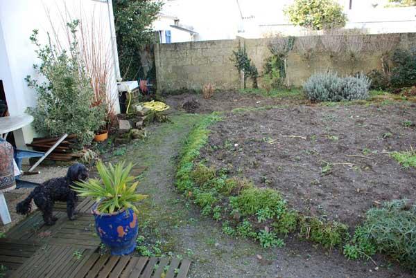 La Grande Offensive Agricole (dans mon jardin) a commencé