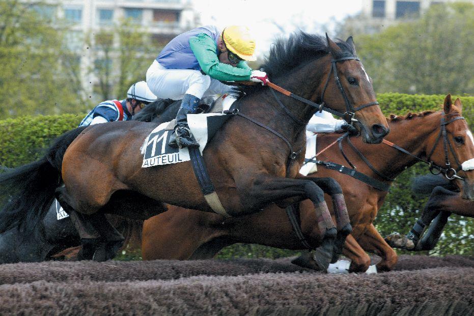 Turf Mania: pour les pros des courses !!!