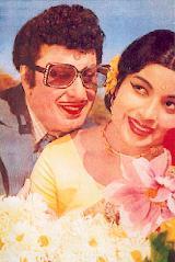 Féérie indienne Féérie indienne