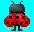 insectes_coccinelle_17_1_