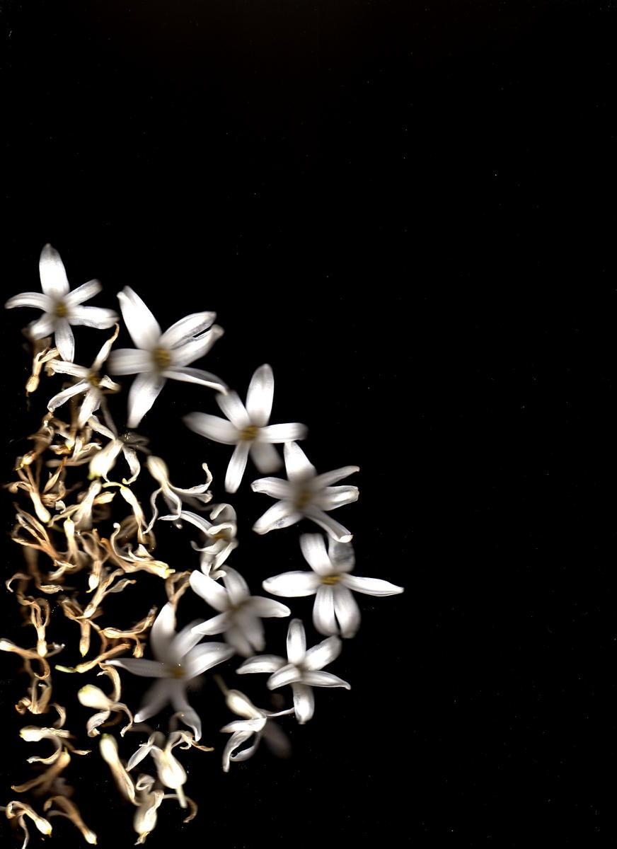 ......................................Présent pour vv...................................