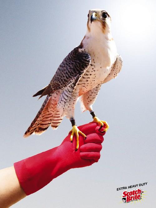 La pub du jour : Démontrez la fiabilité de votre produit [Gants]