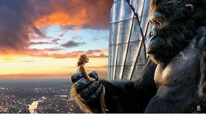 King Kong de Peter Jackson, le dimanche 22 Février sur TF1