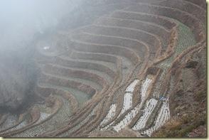 GuilinYangshuo0109_181