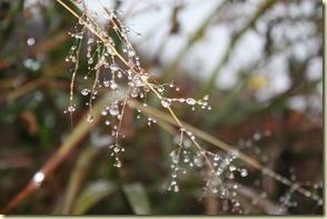 GuilinYangshuo0109_182