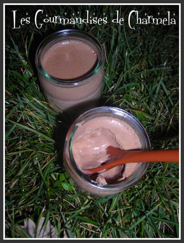 Yaourt au Chocolat, enfin la réussite....