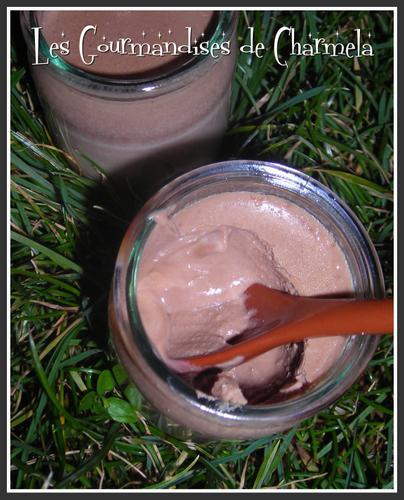 Yaourt au Chocolat, enfin la réussite....