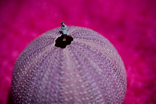 . par Vincent Bousserez