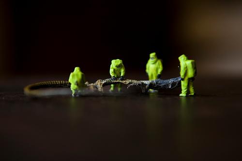 . par Vincent Bousserez