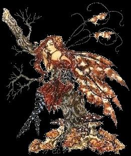 Animations quinzaine 1 de Février