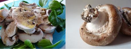 champignons champignons