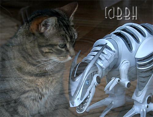 chat tigré et roboraptor