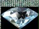 diamand Pictures, Images and Photos