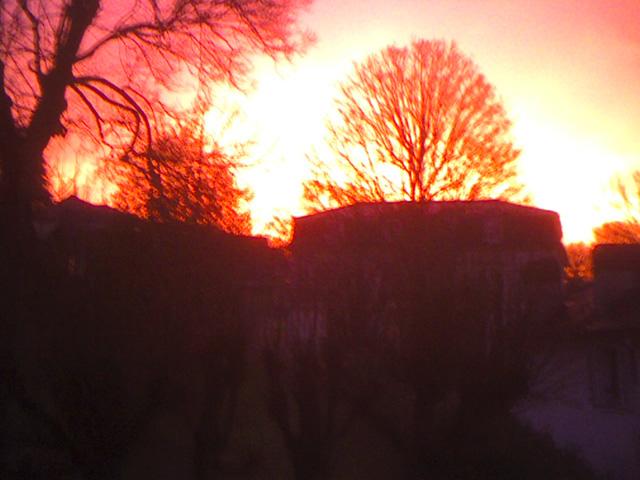 montmorency-lever-de-soleil-janv-2009.1234045148.jpg
