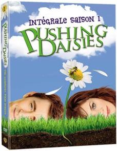 La saison 1 de Pushing Daisies sort en dvd