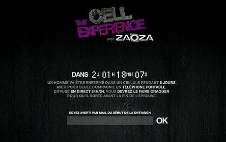 The Cell Experience...