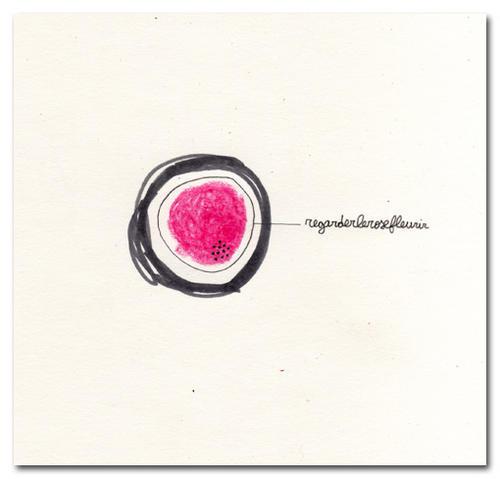 Ecritures Automatiques .0021 + 0022 + 0023 + 0024 + 0025