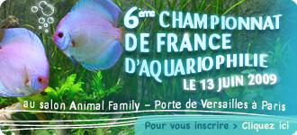 Championnat_aquario