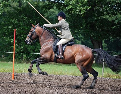 Canal + se sépare des courses hippiques