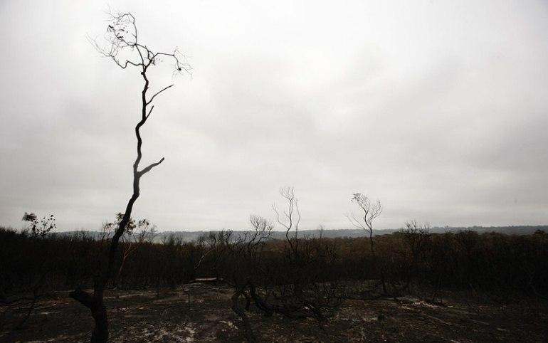 L'Australie en feu