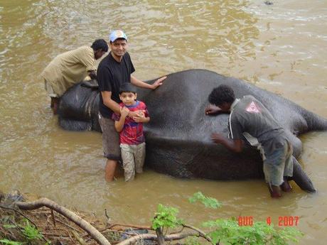 Une bonne matinée ordinaire... Une bonne matinée ordinaire...