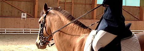 equitation Léquitation un sport pour tous: La fédération française handisport photo cheval