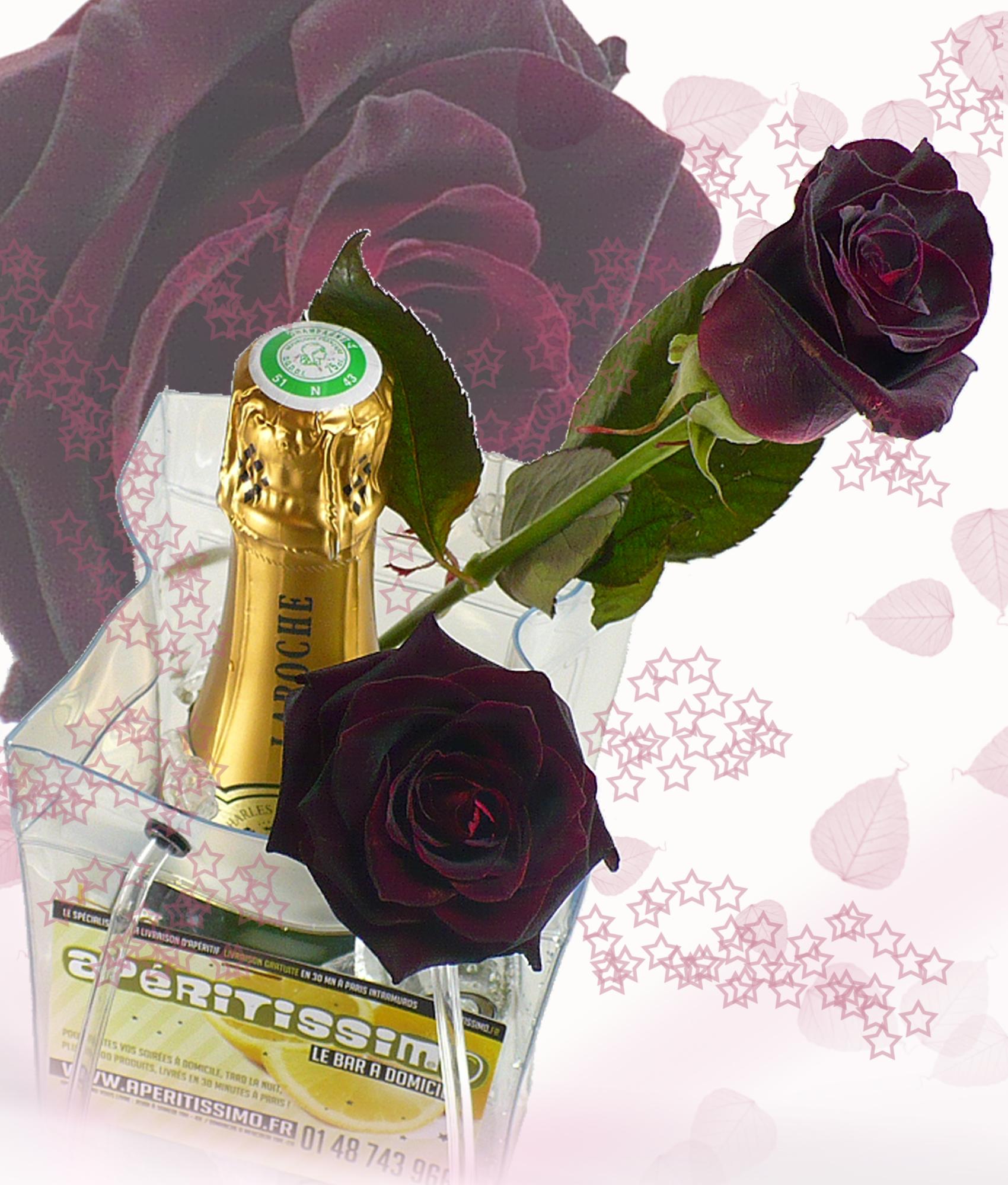 st-valentain-2009-champagne-ace-bag-rose-2.jpg