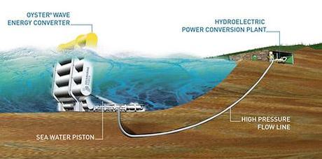 L'huitre géante qui produit de l'électricitÉ