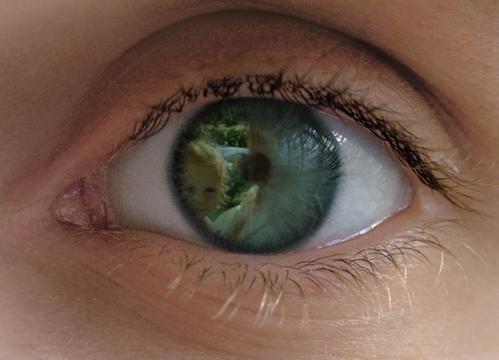 Le concours de LA Photo de famille : les participants