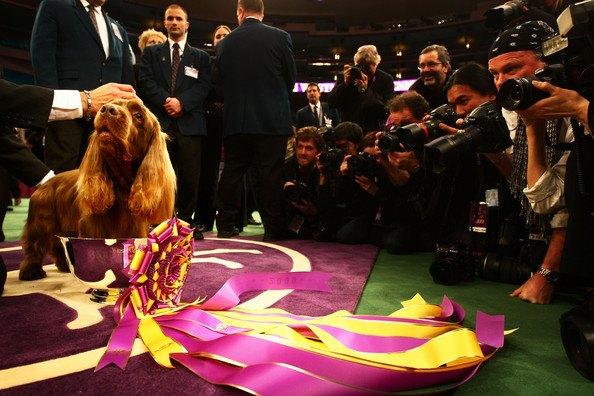 Westminster Kennel Club