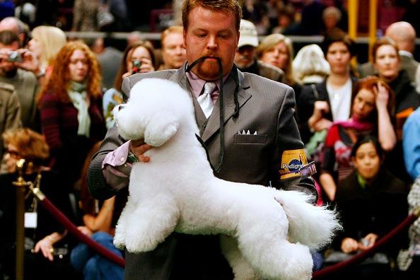 Westminster Kennel Club