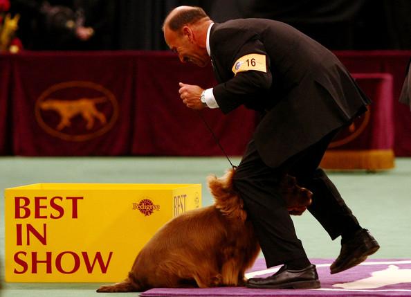 Westminster Kennel Club