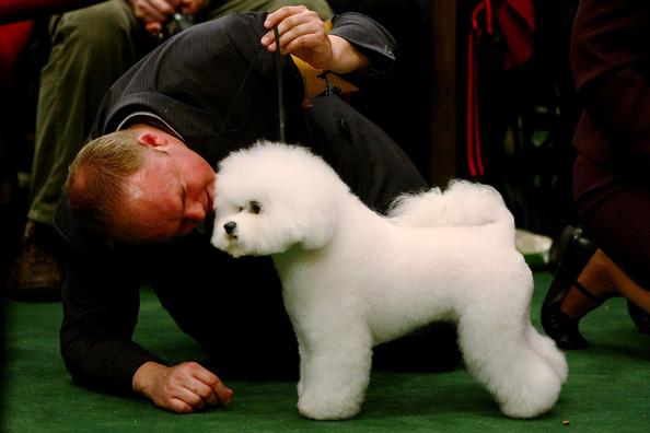 Westminster Kennel Club