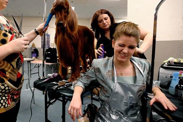 Westminster Kennel Club