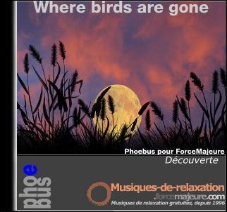 Where birds are gone détente musique gratuite