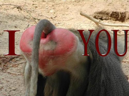 Marquons ce jour d'une touche d'humour ! ;)