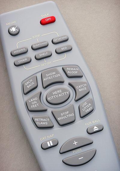 Control a cat : un chat au doigt et à l'oeil ! Control a cat : un chat au doigt et à l'oeil !