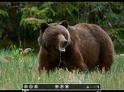 L’obscure service télévision future